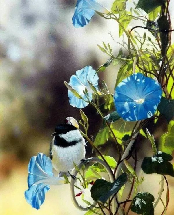 北京23天新增332例，如何严防把控疫情关？