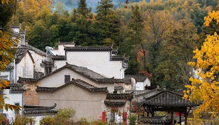 11月份适合去哪里旅游 11月旅游地点推荐