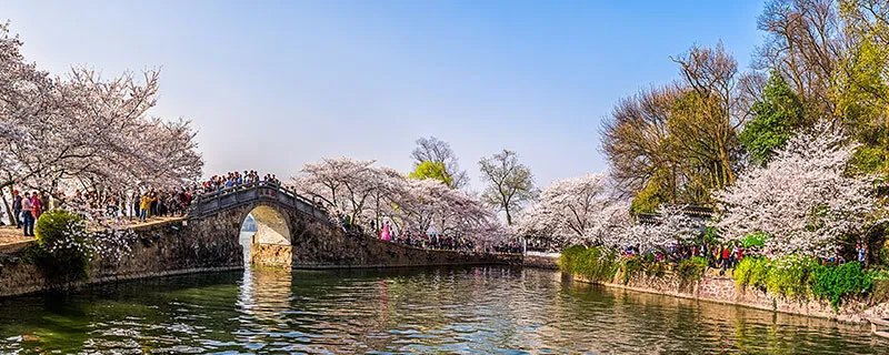 四月开什么花 四月有哪些花开