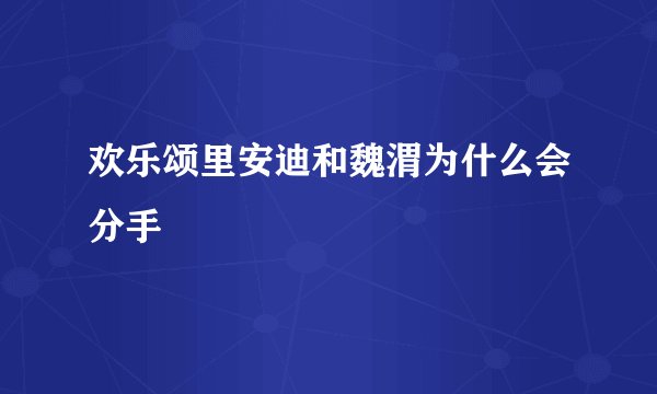 欢乐颂里安迪和魏渭为什么会分手
