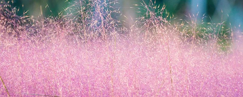 11月份适合去哪里旅游 11月旅游地点推荐