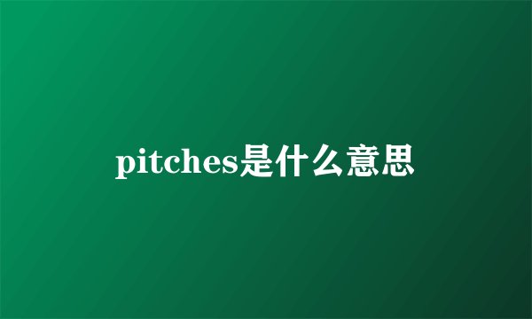 pitches是什么意思
