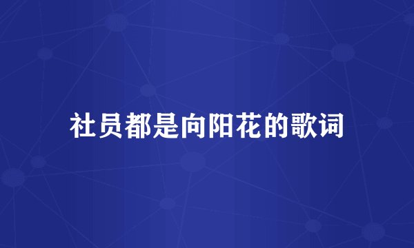 社员都是向阳花的歌词