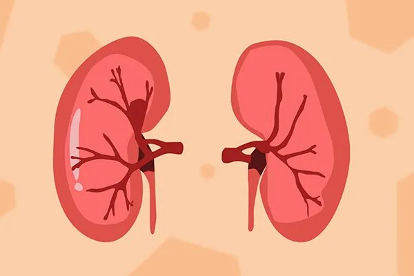 女性最滋阴补肾的食物