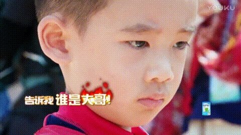 为什么这么多人喜欢Jasper？