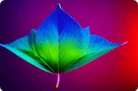 文恬武嬉是什么意思？