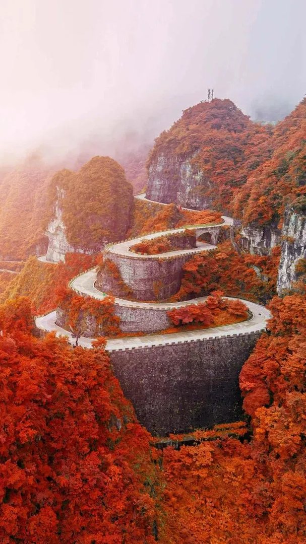 市场渗透定价策略的优缺点是什么？