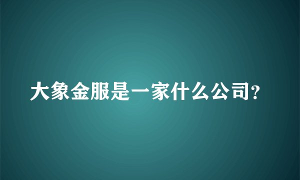 大象金服是一家什么公司？