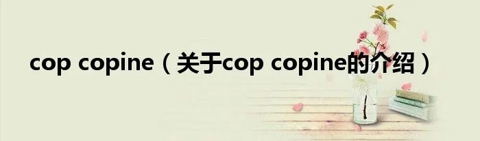 cop copine（关于cop copine的介绍）