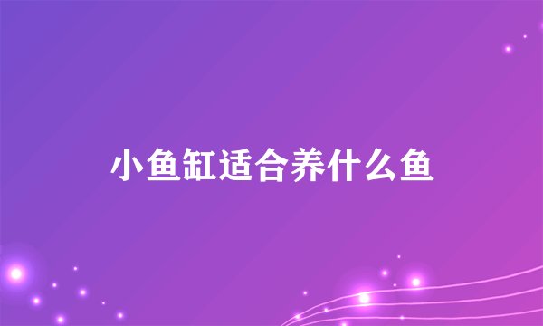 小鱼缸适合养什么鱼