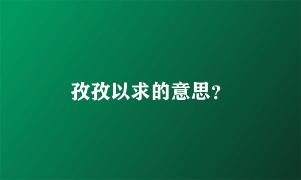 孜孜以求的意思？