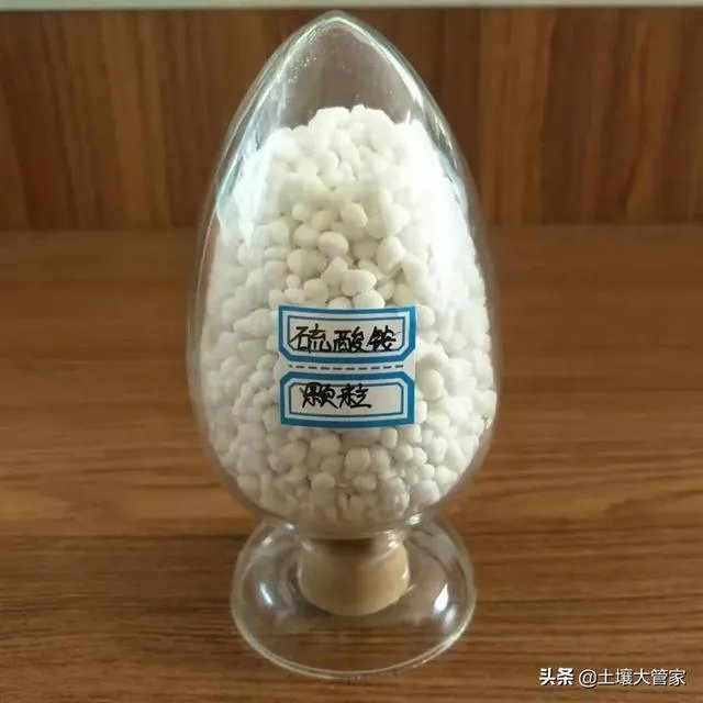 什么是中量元素水溶肥？有哪些作用？
