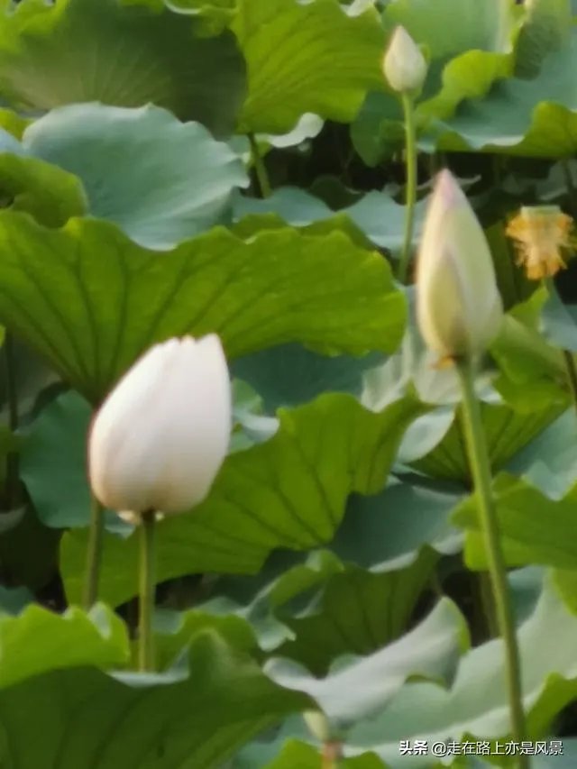 我们三个一起吃饭上课，她们两关系更好一点，我像半透明一样，现在我自己吃饭上课，想问要不要删除微信？