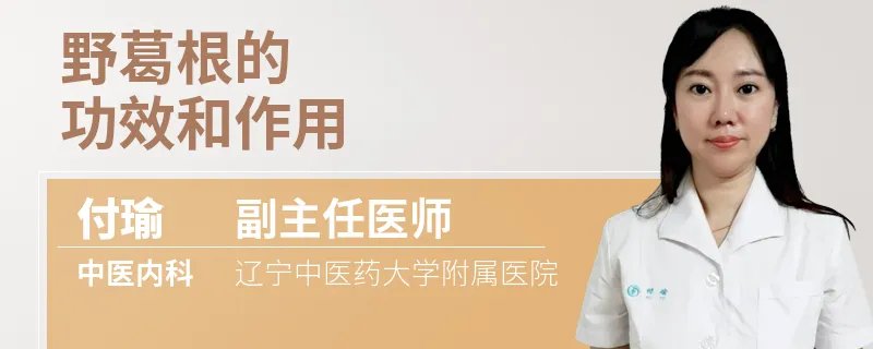 野葛根的功效和作用