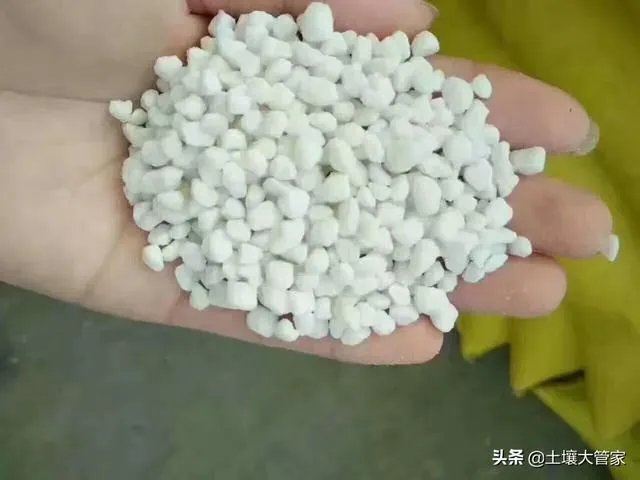 什么是中量元素水溶肥？有哪些作用？