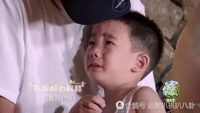为什么这么多人喜欢Jasper？