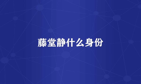 藤堂静什么身份