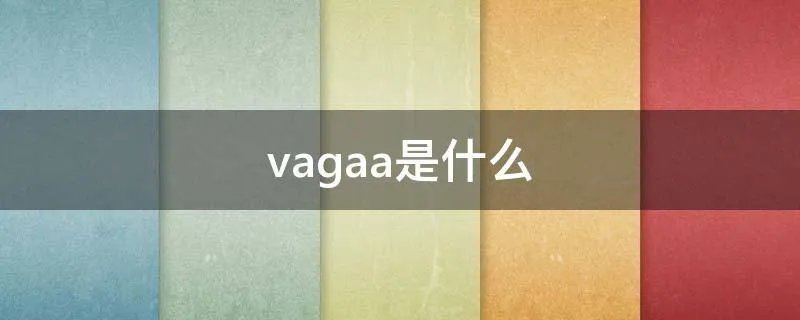 vagaa是什么