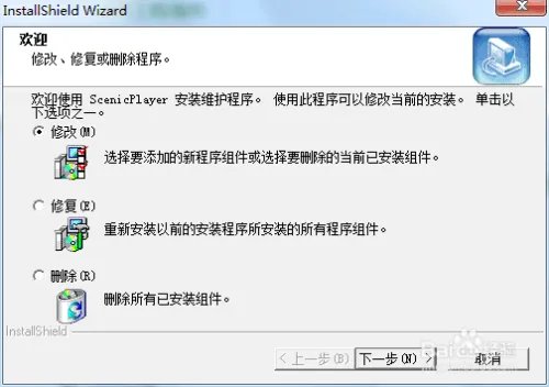scenic player打不开文件怎么办