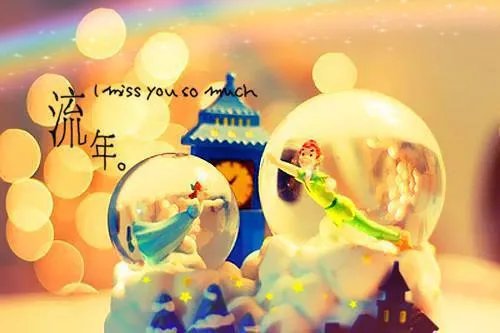 团宠千金的马甲被扒了全文慕离寒厉辰小说全本无弹窗