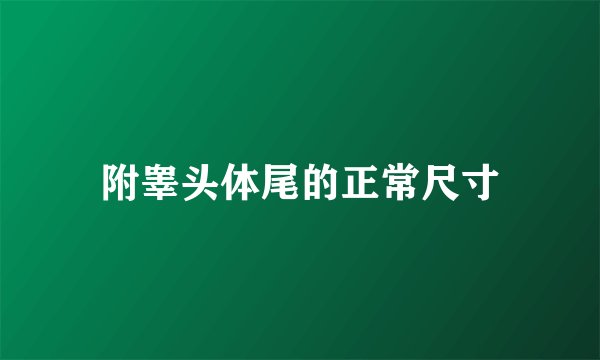 附睾头体尾的正常尺寸