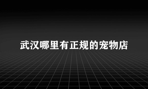 武汉哪里有正规的宠物店