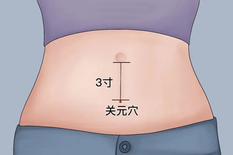 正确宫寒拔罐位置图