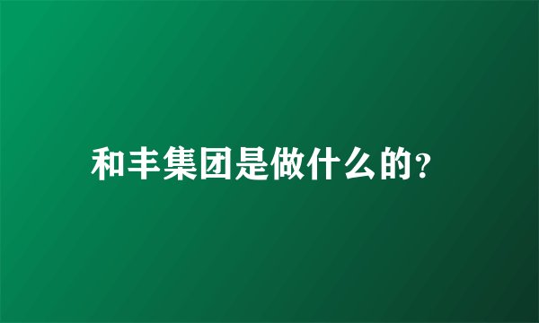 和丰集团是做什么的？