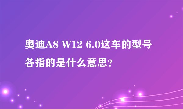 奥迪A8 W12 6.0这车的型号各指的是什么意思？