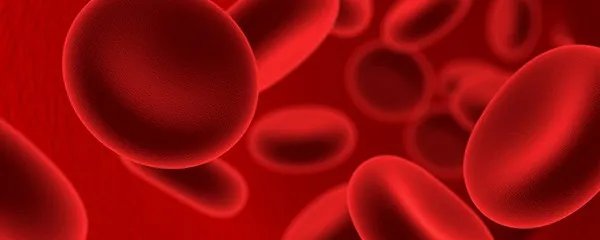 血常规化验单怎么看