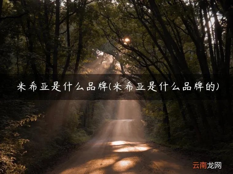 米希亚是什么品牌的 米希亚是什么品牌