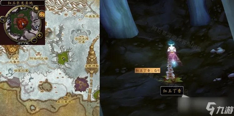 《魔兽世界》怀旧服WLK红玉丁香获取位置一览