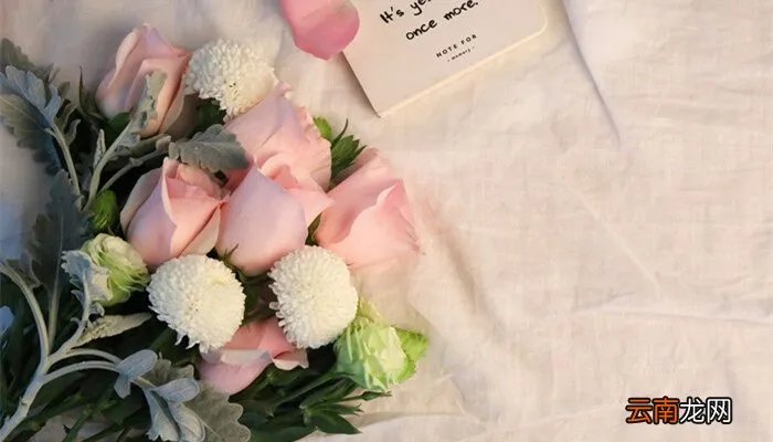 17朵玫瑰代表什么，17朵玫瑰代表什么?？