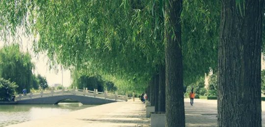 河南科技大学吧的贴吧简介