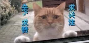 绝地求生国服什么时候可以预约，在哪预约？