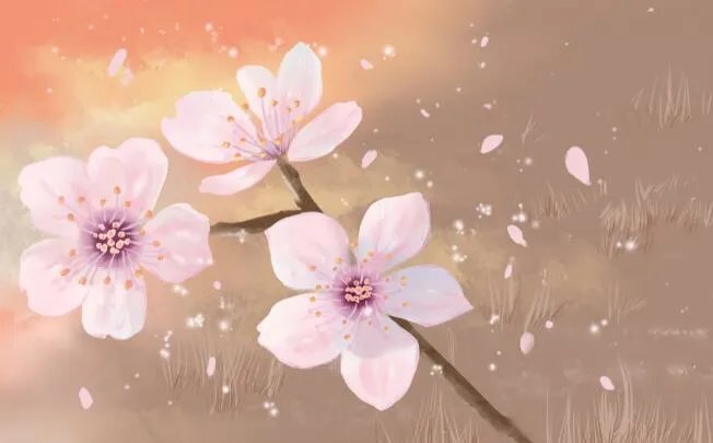 春暖花开的唯美句子 赞美春暖花开的优美短句