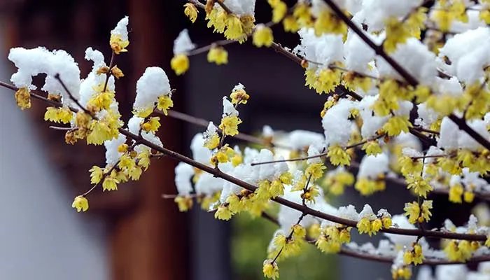 长沙植物园在长沙什么位置 湖南省森林植物园怎么去