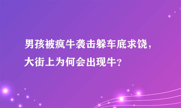 男孩被疯牛袭击躲车底求饶，大街上为何会出现牛？