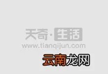 小虎队成员名字是什么小虎队成员名字是
