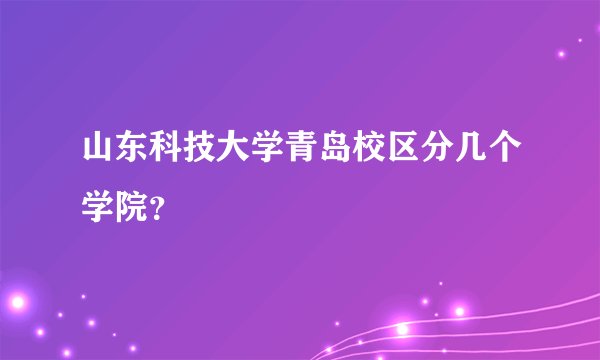 山东科技大学青岛校区分几个学院？