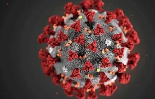 怎么看待已经有许多国家宣布，不参加今年的东京奥运会呢？