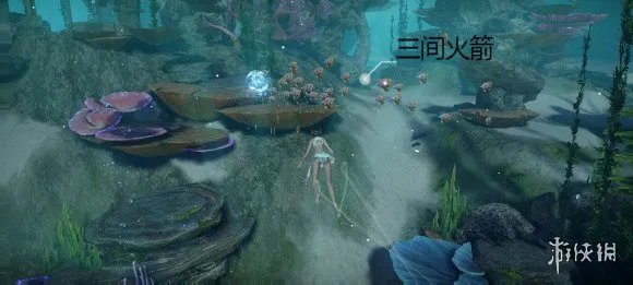 《天谕手游》鱼类图鉴大全 沉船附近鱼类位置一览