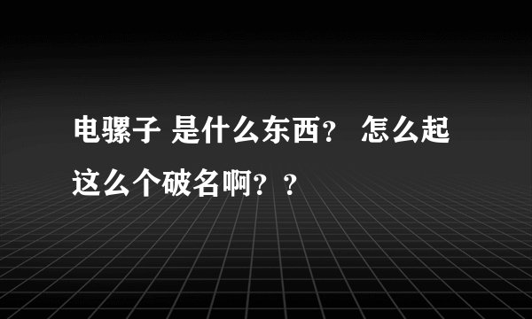 电骡子 是什么东西？ 怎么起这么个破名啊？？
