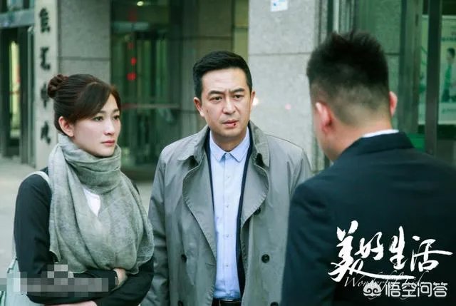 电视剧《美好生活》全集在线观看哪里有？