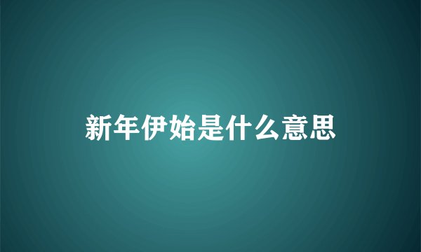 新年伊始是什么意思
