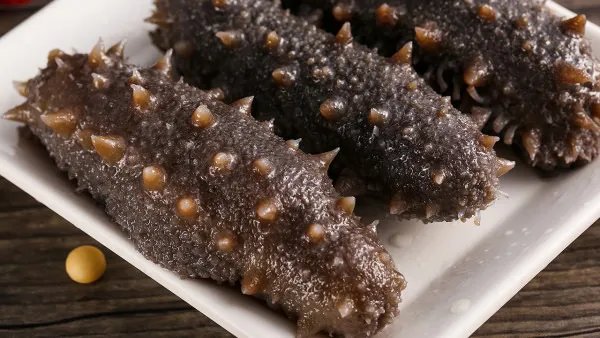 转氨酶高吃什么食物好