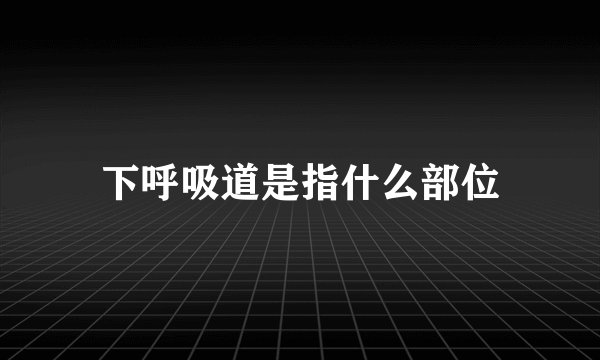 下呼吸道是指什么部位