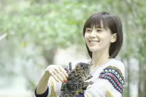 贾乃亮转发王子文微博:到此为止，他为啥这么说？