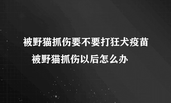 被野猫抓伤要不要打狂犬疫苗   被野猫抓伤以后怎么办