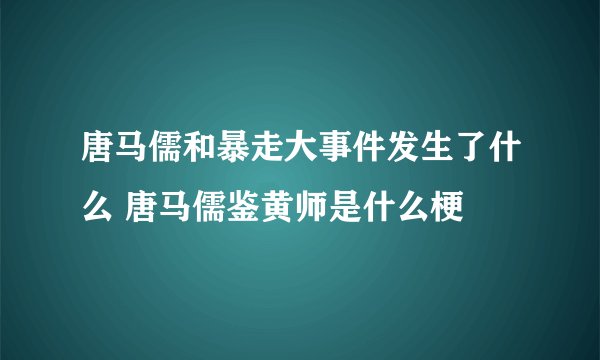 唐马儒和暴走大事件发生了什么 唐马儒鉴黄师是什么梗